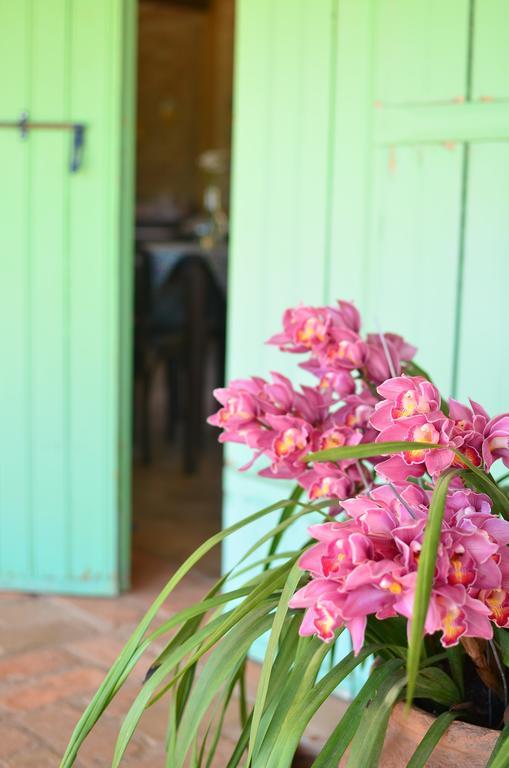 Cafezal Em Flor Turismo E Cafes Especiais Hotel Monte Alegre do Sul Exterior foto