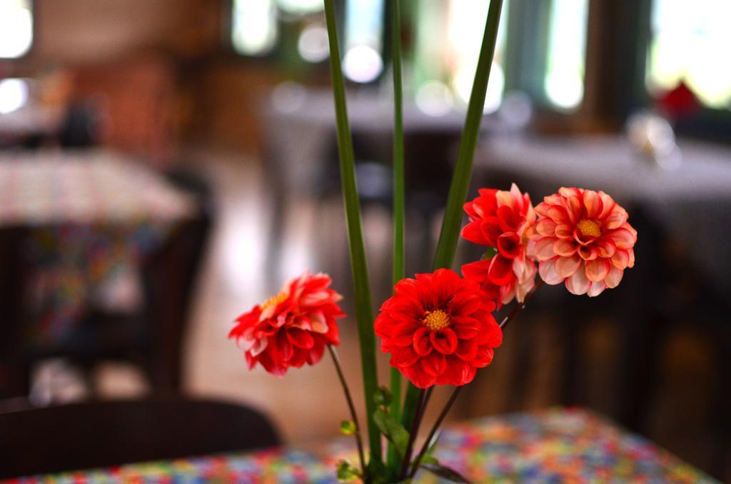Cafezal Em Flor Turismo E Cafes Especiais Hotel Monte Alegre do Sul Exterior foto