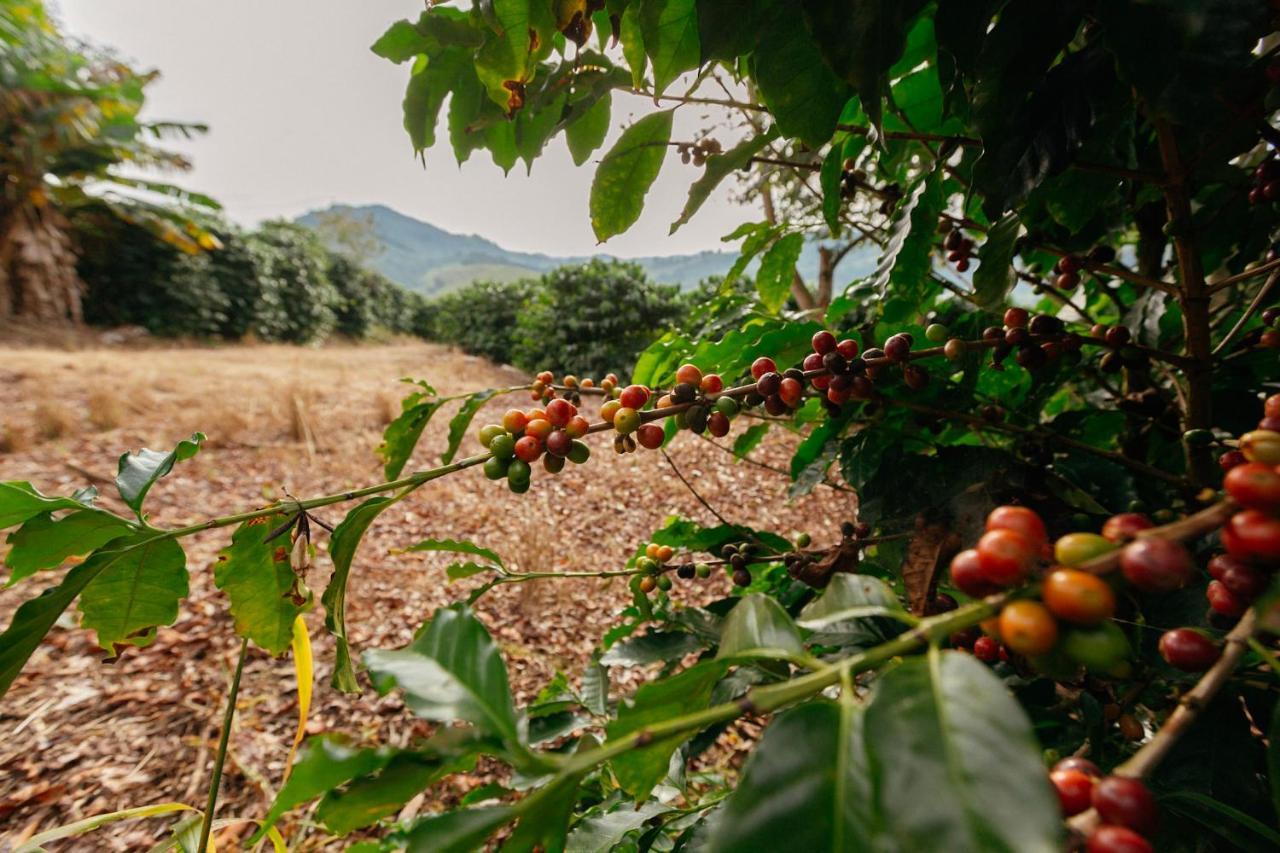 Cafezal Em Flor Turismo E Cafes Especiais Hotel Monte Alegre do Sul Exterior foto